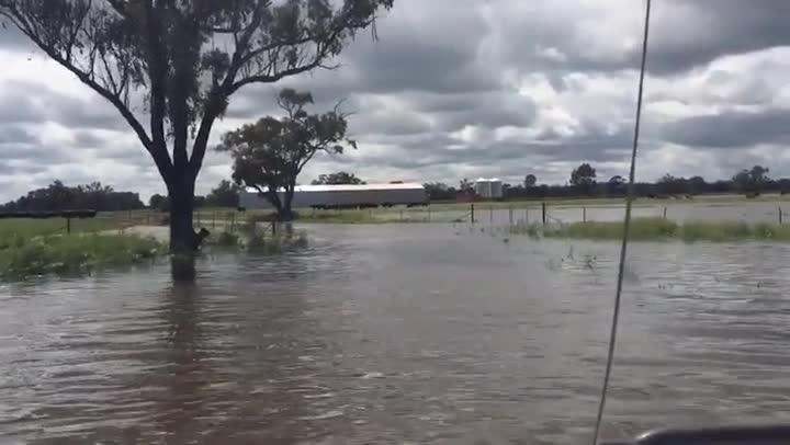 Floodwaters spreading on outskirts of Condobolin