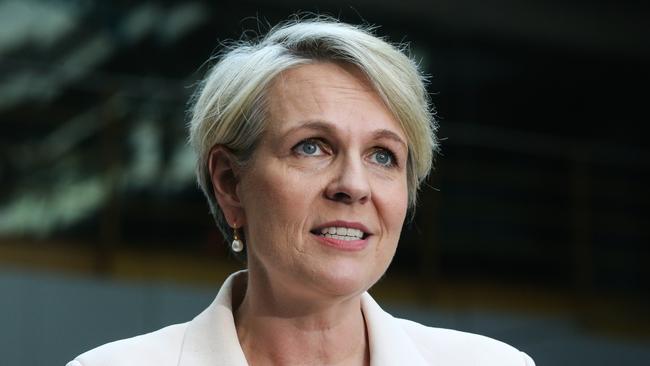 Environment Minister Tanya Plibersek. Picture: NewsWire / Gaye Gerard