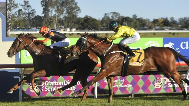 Kristen Buchanan-trained Jazzland was the winner of the South Grafton Cup, piloted by Koby Jennings during South Grafton Cup Day on Sunday, July 5, 2020.