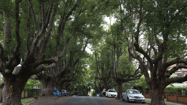 Buyers are willing to pay more for leafy streets.