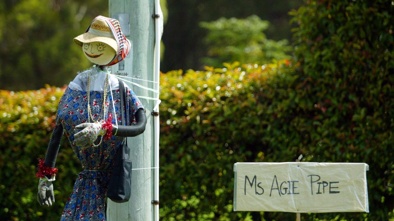 Middleton Country Expo Scarecrow competition, Ms Agie Pipe, one of the the scarecrows decorating the Channel Highway