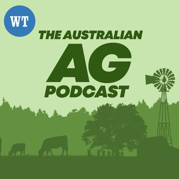 Rhys Turton: The state of the grains industry. Over The Fence with Danyel Cucinotta.