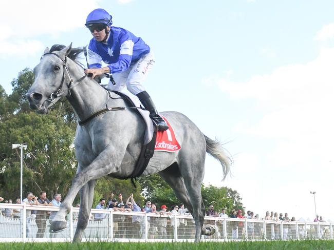 Super Solar ridden by Tom Prebble wins the RMBL Investments Rising Stars - Mirboo North Hotel BM58 Hcp at Stony Creek Racecourse on February 06, 2024 in Stony Creek, Australia. (Ross Holburt/Racing Photos via Getty Images)