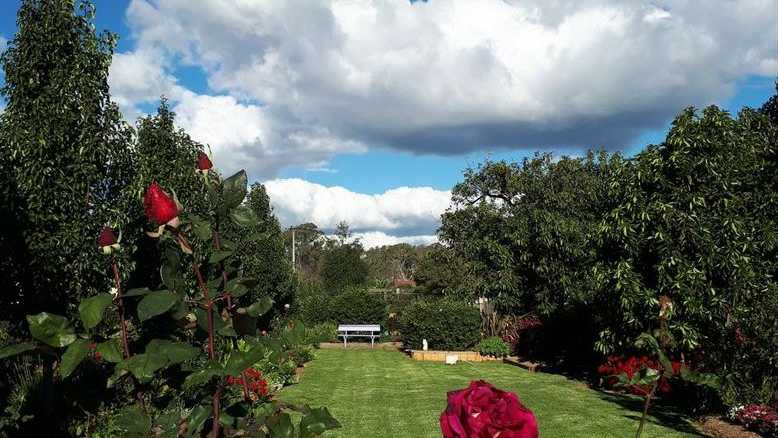 BLOOMING BEAUTIFUL: To everyone’s delight, Julie Roggeveen is back in the 2019 The Chronicle Garden Competition and she is eager to show off her labour of love.