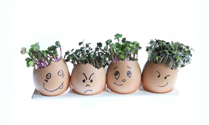 Growing Cress Heads with Children - Kids Do Gardening
