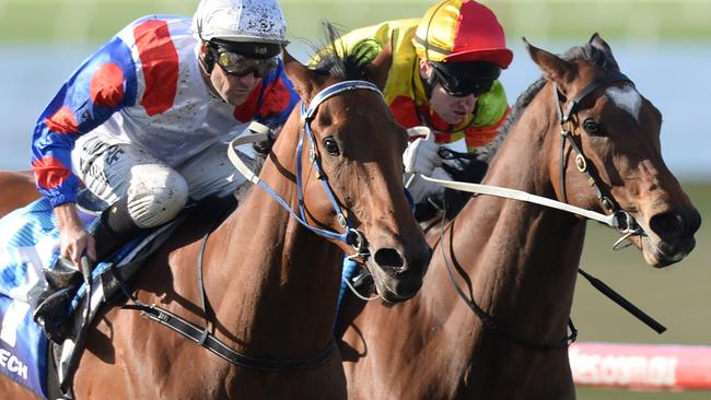 Ability (left) gets the better of a brave Lankan Rupee in the Group 3 Bletchingly Stakes. Picture: AAP