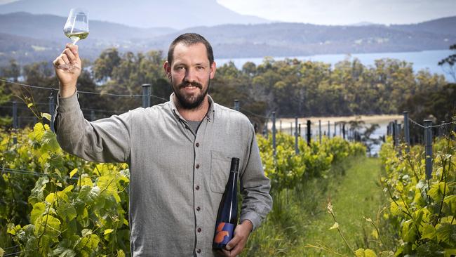 Mewstone Wines vineyard manager Luke Andree among the vines at Flowerpot. Picture: Chris Kidd