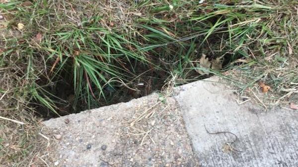 An unsafe footpath at Edith St, Enoggera, before it was fixed.