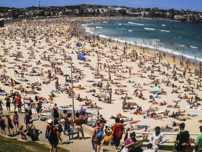 Bondi Beach was identified as a place to kill people.