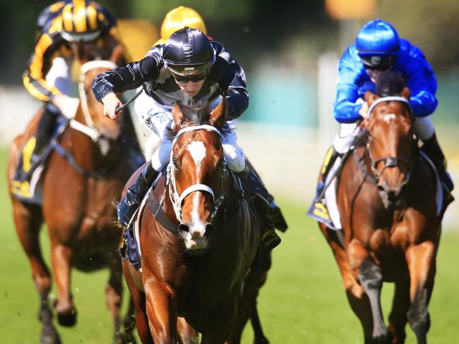 Blake Shinn wins race 1 on Counterattack for Chris Waller during Warwick Farm races. pic Mark Evans