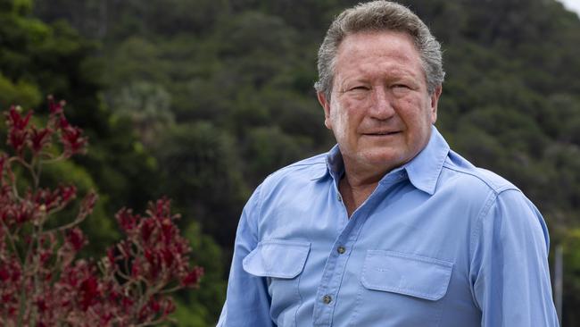 Andrew Forrest. Picture: Marie Nirme