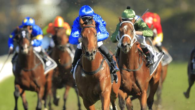 Bivouac beat an impressive group of three-year-old colts in the Run To The Rose. Picture: Getty Images