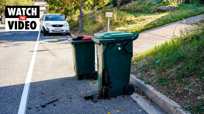 Woman struck by car taking out bins (7 News)