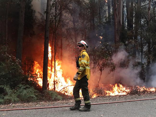Firefighters from Sustainable Timber, Department of Parks and Wildlife and New Zealand work on a spotfire on Arve Road just out of Geeveston. Picture: NIKKI DAVIS-JONES