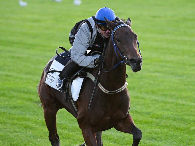 MELBOURNE, AUSTRALIA - OCTOBER 31: Craig Williams riding  Lastotchka during Derby Day Breakfast With The Best gallops at Flemington Racecourse on October 31, 2023 in Melbourne, Australia. (Photo by Vince Caligiuri/Getty Images)