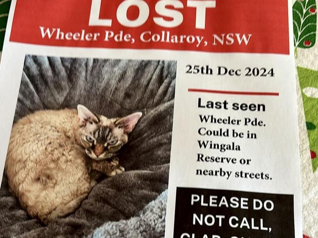 The poster for lost cat Gizmo. Picture: Supplied