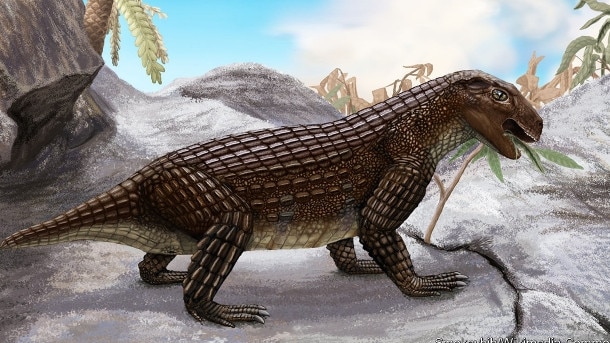 An artist's impression of Simosuchus clarki tucking in to its greens.