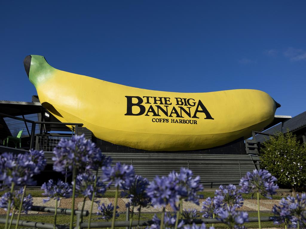 Coffs Harbour, home to ‘The Big Banana,’ was a top performer during Covid.