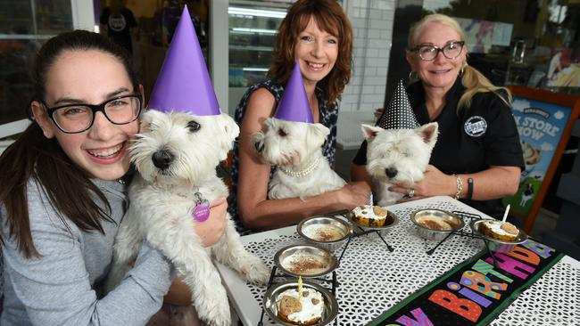 The Local on Como cafe in Parkdale hosts doggie birthday parties complete with pupaccinos and pupcakes.