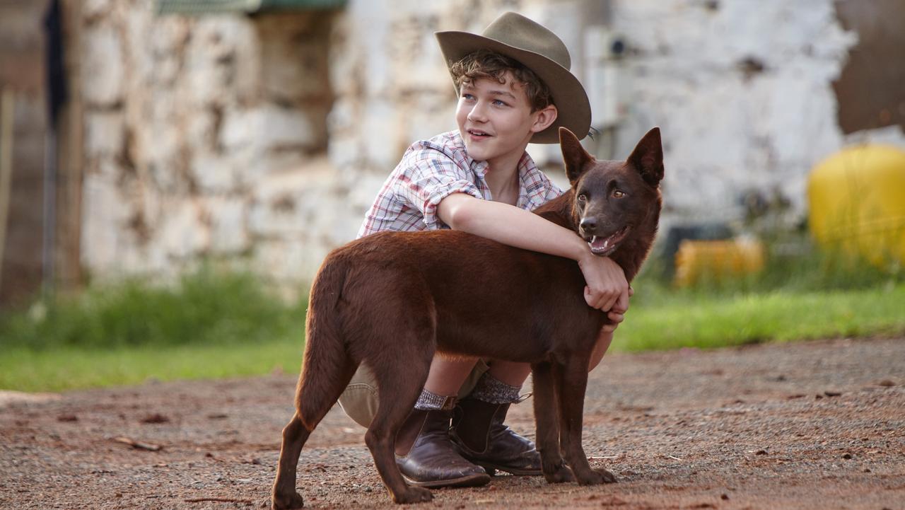 Film reviews: Red Dog: True Blue; Why Him? | The Australian