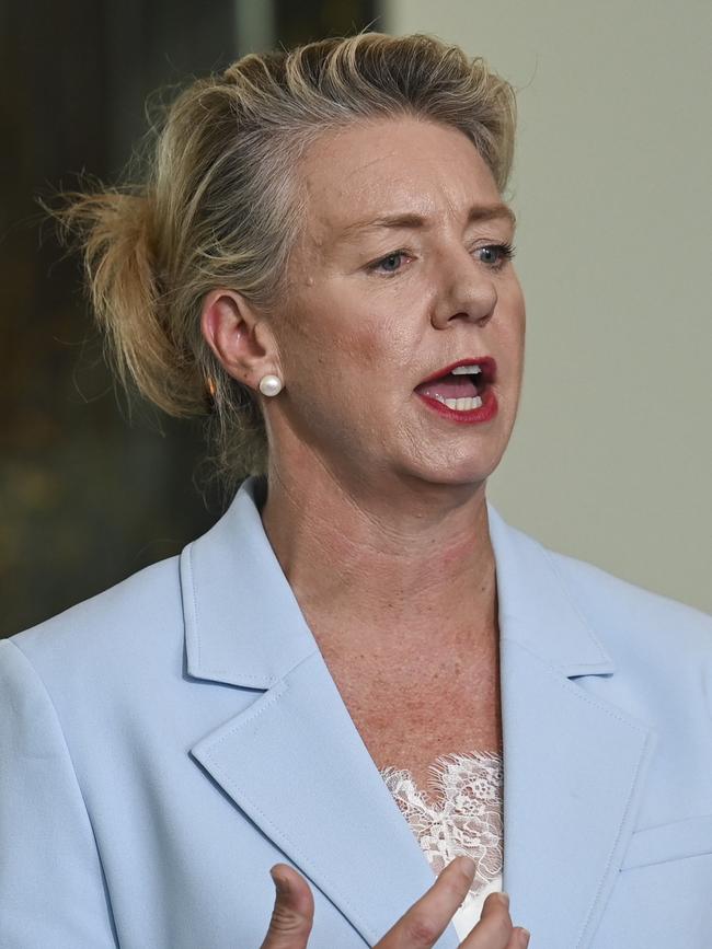 Opposition transport spokeswoman Bridget McKenzie. Picture: NCA NewsWire/Martin Ollman