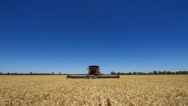 Harvest in Victoria. Picture: Zoe Phillips