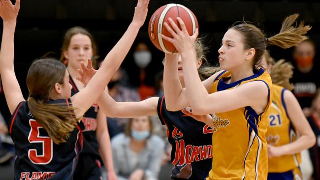 Basketball SA District League junior grand finals will tip-off on Friday.