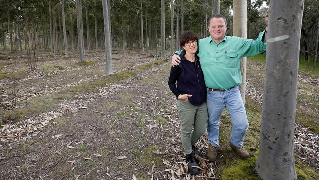 Eve Kantor and Mark Wootton among the 1.2 million trees planted on Jigsaw Farms north of Hamilton, in western Victoria. Picture: Yuri Kouzmin