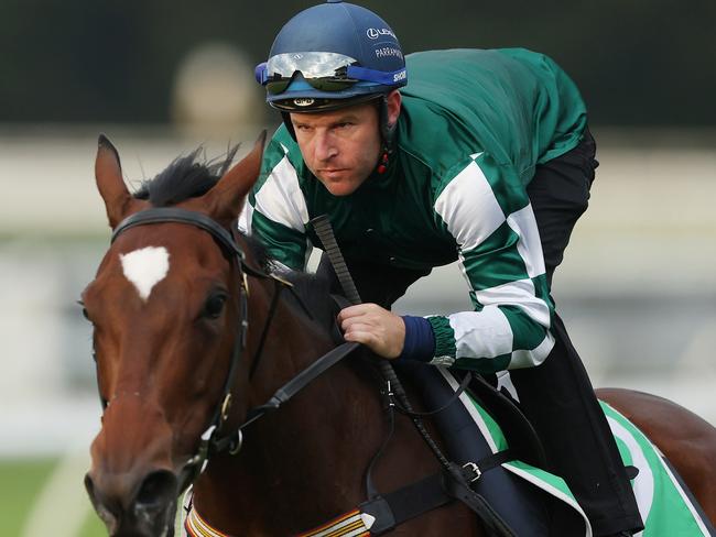 SYDNEY, AUSTRALIA - APRIL 09: Tommy Berry rides Place Du Carrousel during TAB Trackwork with the Stars at Royal Randwick Racecourse on April 09, 2024 in Sydney, Australia. (Photo by Mark Metcalfe/Getty Images)