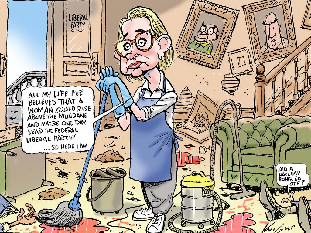 Mark Knight’s cartoon on Sussan Ley becoming leader of the Liberal Party shows the first woman ever elected to the role landing a massive clean up job following the federal election. Picture: Mark Knight