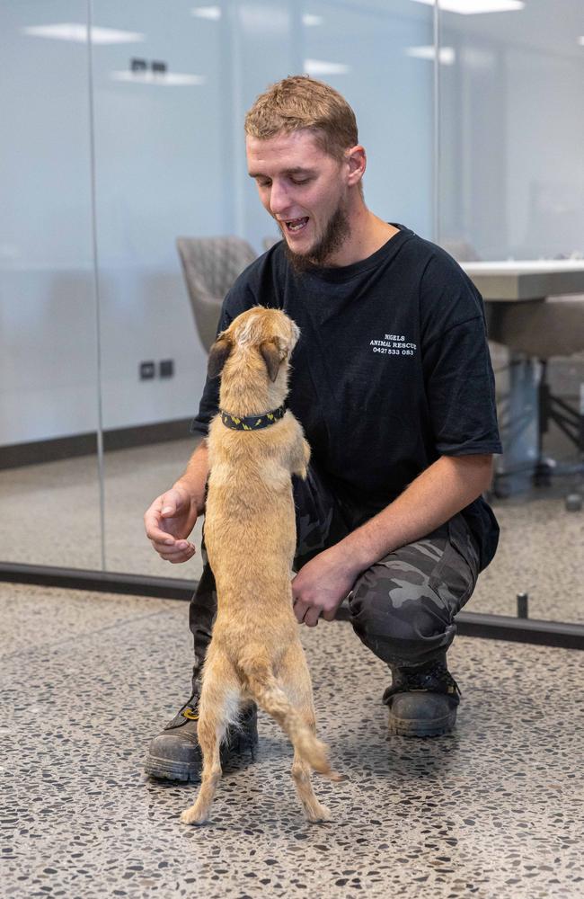 Toby Mitchell with Milo the moment they saw each other after the rescue. Picture: Jason Edwards