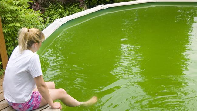 Melbourne pools have turned a filthy green colour because of the smoke haze and storms over the last month.