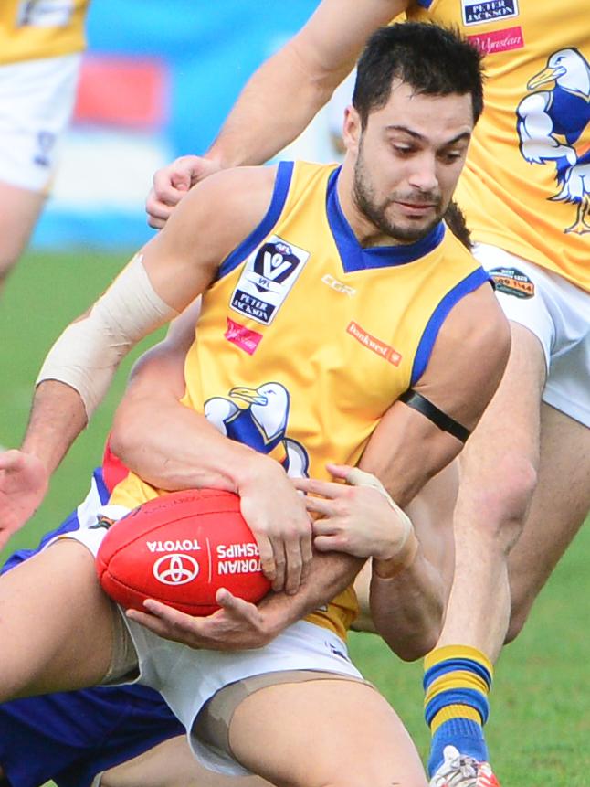 Williamstown midfielder Michael Gibbins.