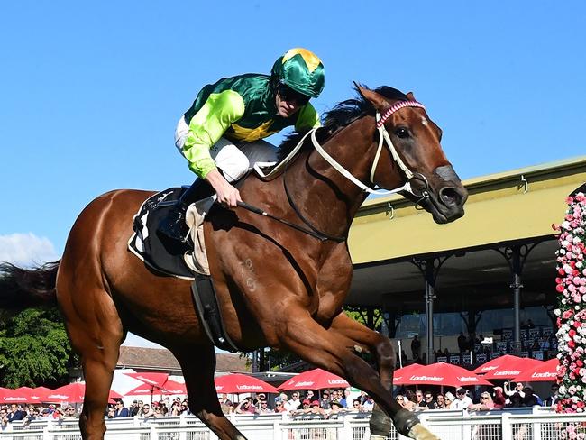 Yellow Brick moves to within touching distance of scoring a spot in the Group 1 Stradbroke Handicap with his win at Eagle Farm on Saturday. Picture: Grant Peters, Trackside Photography.