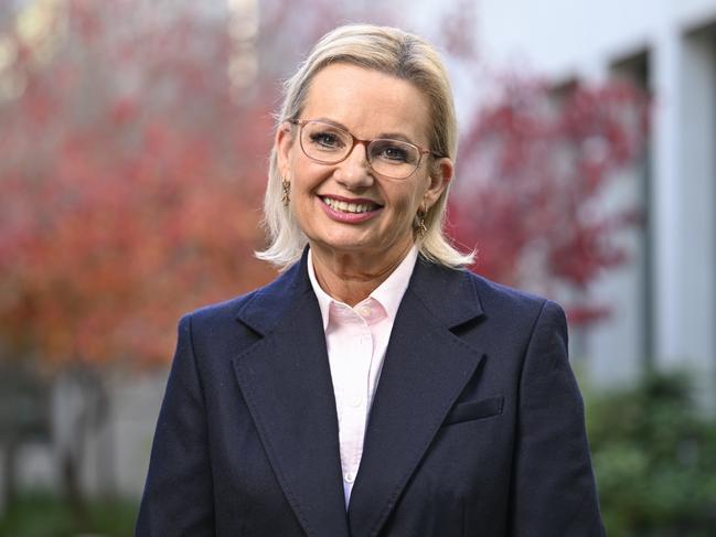 Opposition Leader Sussan Ley at Parliament House in Canberra. Picture: NewsWire / Martin Ollman