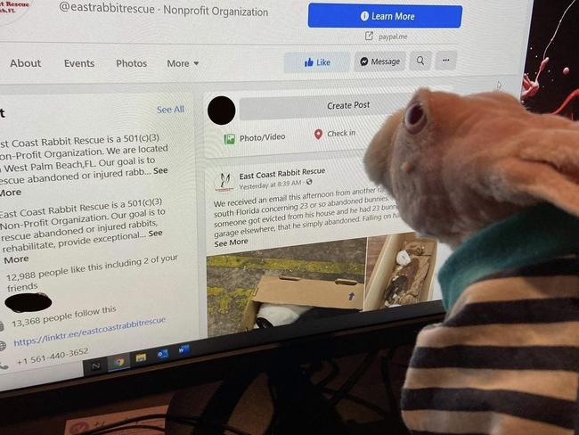 Mr Bigglesworth chooses charities online to donate merchandise proceedings. Picture: supplied.