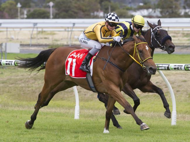 Jamie Kah guides Kenyan Wonder to victory at Morphettville. Picture: Atkins Photography
