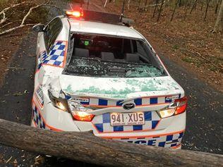 Two Marburg police officers were lucky to escape unharmed after a tree fell on their police car on Friday, December 14, 2018.