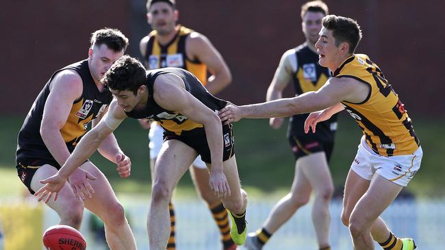 Liston Trophy winner Tom Gribble takes possession against Box Hill. Picture: Martin Keep/AFL Photos via Getty Images.