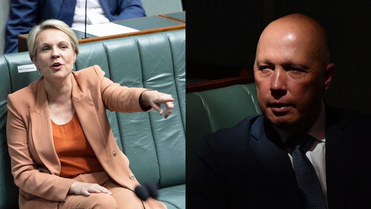 Dutton calls out Plibersek over 'nasty and mean' Voldemort jab