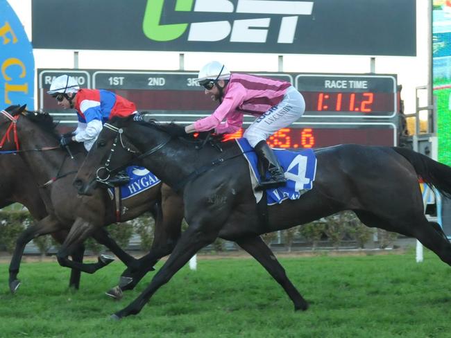 Testability (Chris Dell) wins from Goornong Girl and Forbidden Kisses at Gold Coast Turf Club on August 13, 2016. Photo: JESSICA HAWKINS/TRACKSIDE PHOTOGRAPHY