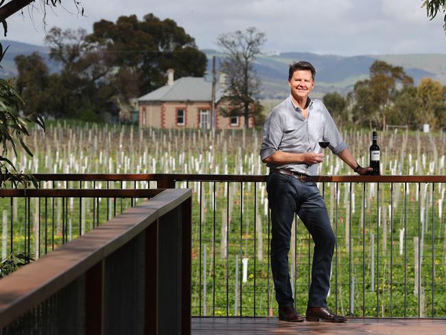 13.9.2018.Wirra Wirra 5-star resort EMBARGO 10am FRIDAY. Wirra Wirra has secured an investor partner to develop integrated winery resort. First five-star accommodation of this scale in McLaren Vale; first integrated winery resort in South Australia. Wirra Wirra managing director and ceo Andrew Kay at the McLaren Vale winery.  PIC TAIT SCHMAAL.