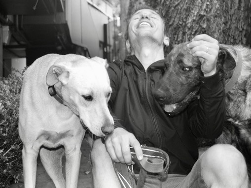 Markus Zusak and two of the three wild dogs