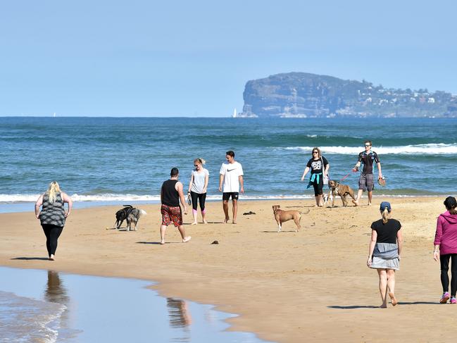 Ettalong Beach situated within the Gosford electorate.