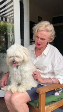 Owner barking mad over fine for "sweet little lapdog"