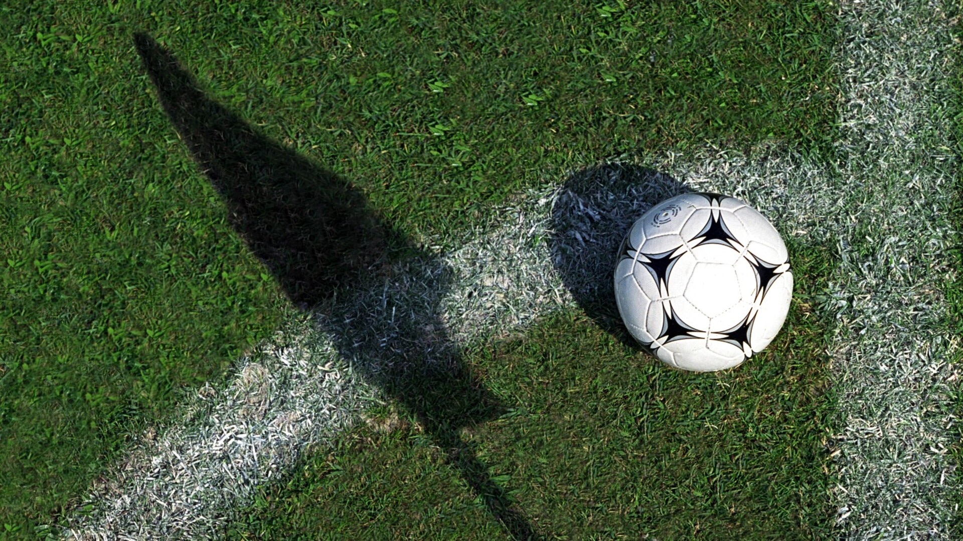 Football Australia records $8.5 million loss