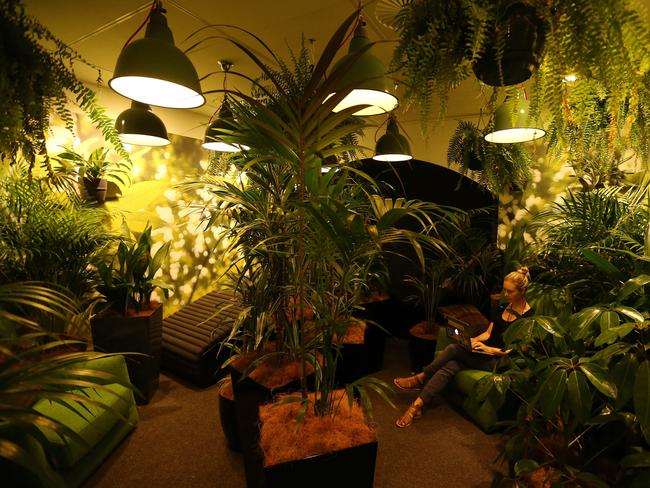 Google’s Sydney office features a forest room for workers who need some chill out time. Picture: News Corp Australia