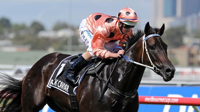 Black Caviar was unbeaten in 25 starts.