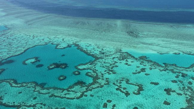 The Great Barrier Reef. (Photo by SARAH LAI / AFP)