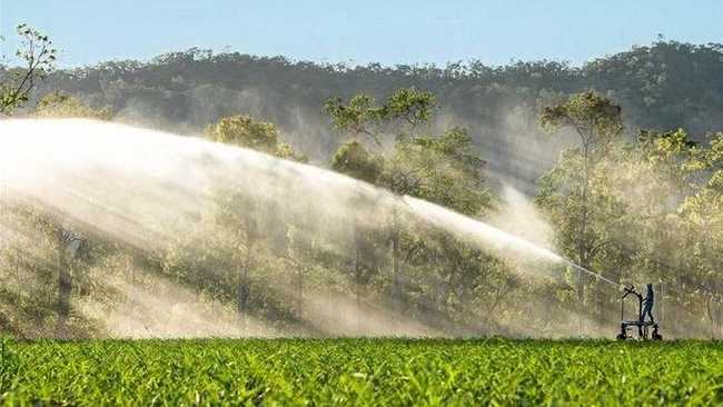 Rex Stroppiana has sold his Mackay sugar farm to Graeme Blackburn. Picture: Contributed